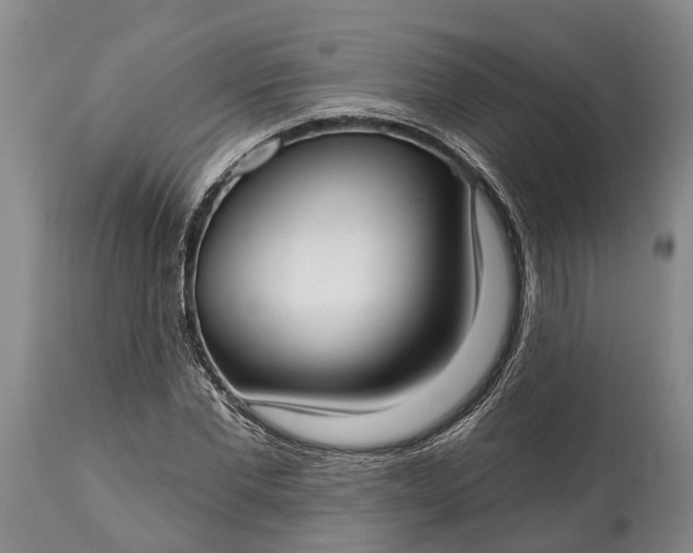 X0000115010877200911091418