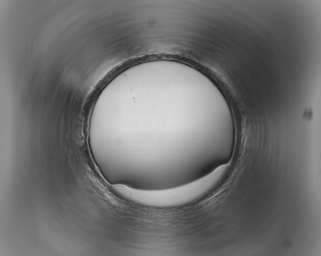 X0000115010878200911091418