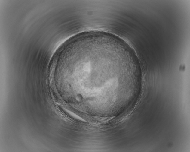 X0000115010879200911091418