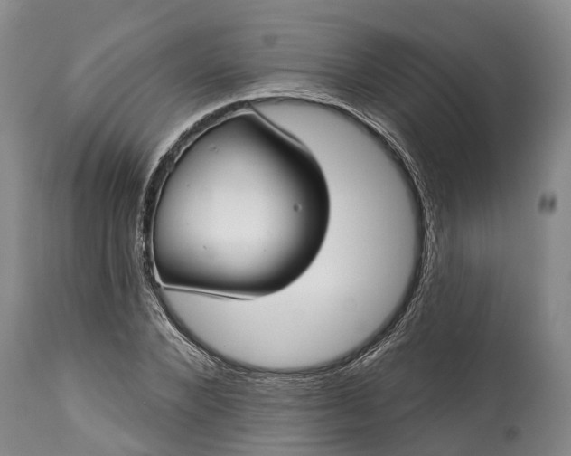 X0000115010880200911091418