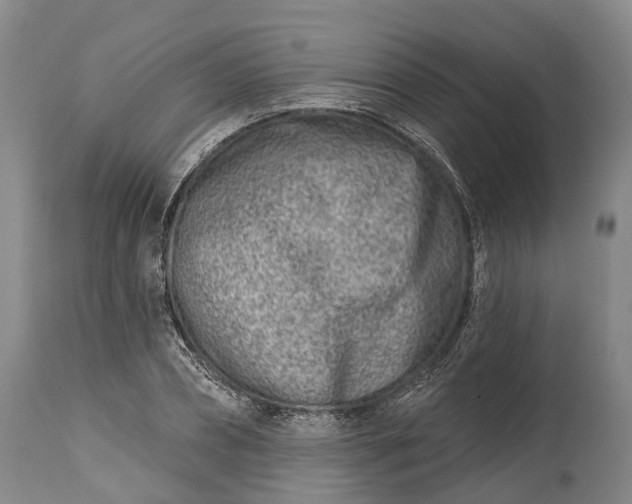 X0000115010882200911091418