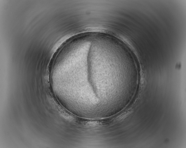 X0000115010883200911091418