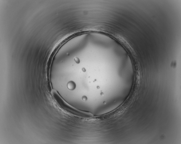 X0000115010884200911091418