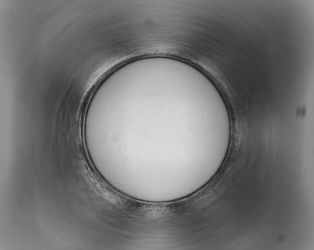 X0000115010886200911091418