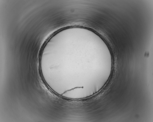 X0000115010888200911091418