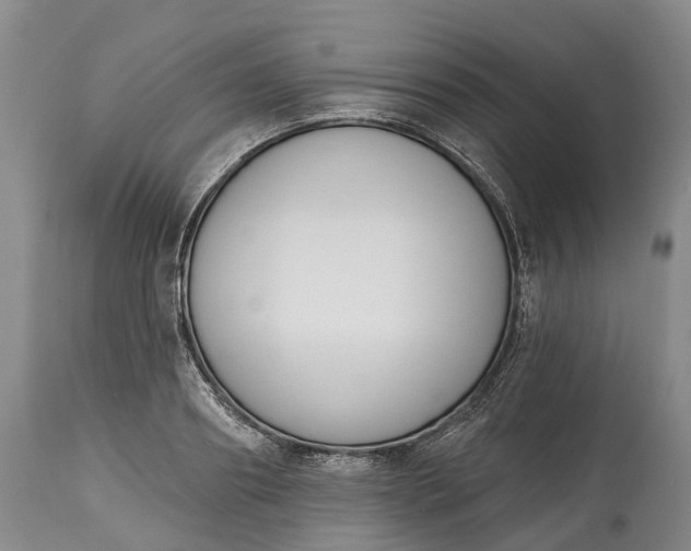 X0000115010890200911091418