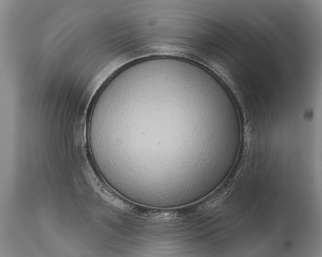 X0000115010891200911091418