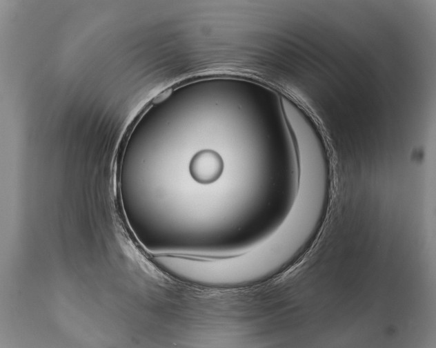 X0000115010892200911091418