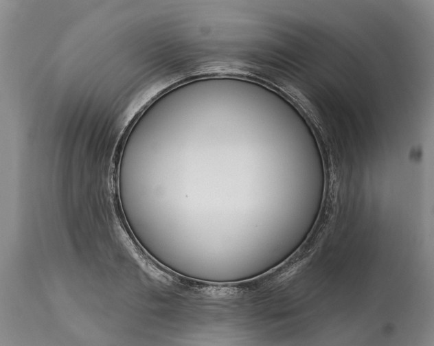 X0000115010893200911091418