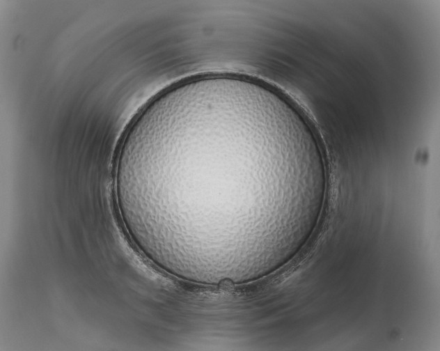 X0000115010895200911091418