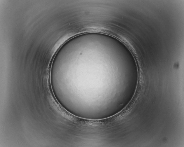X0000115010899200911091418