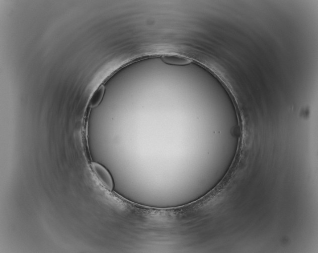 X0000115010901200911091418