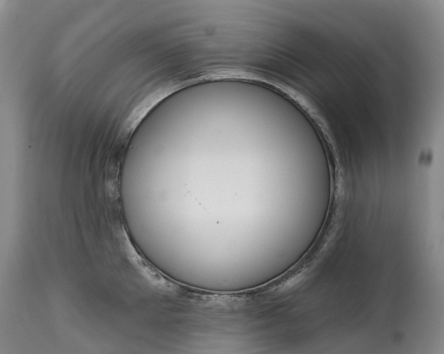 X0000115010905200911091418
