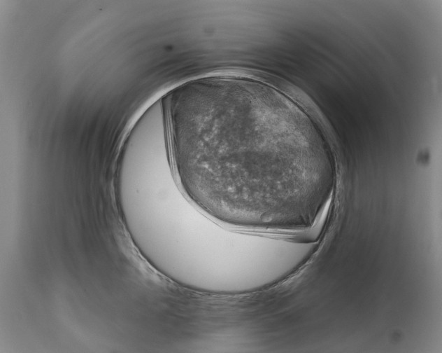 X0000115010908200911091418