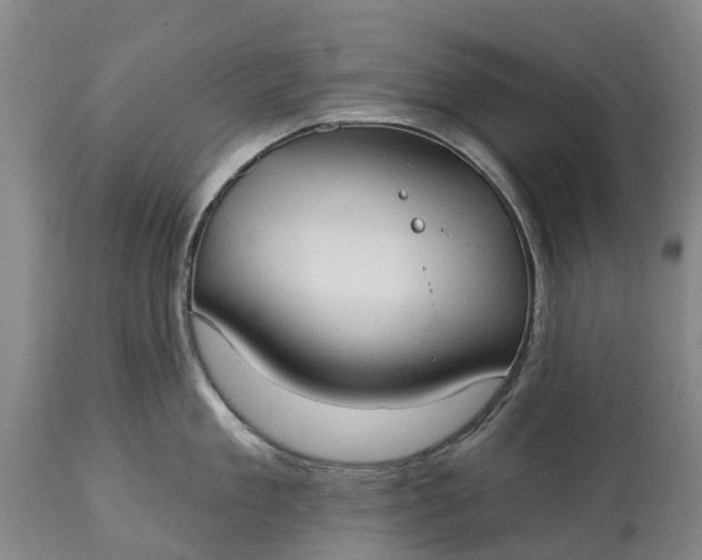 X0000115010909200911091418