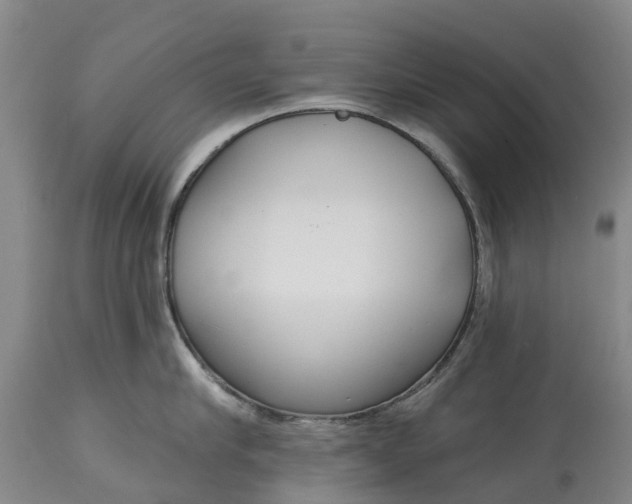 X0000115010910200911091418