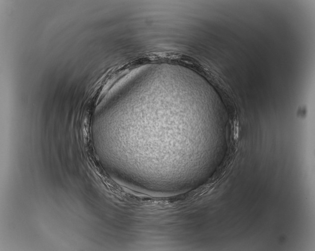 X0000115010915200911091417