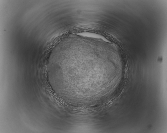 X0000115010917200911091417