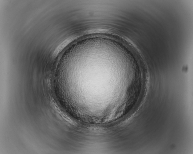 X0000115010921200911091417