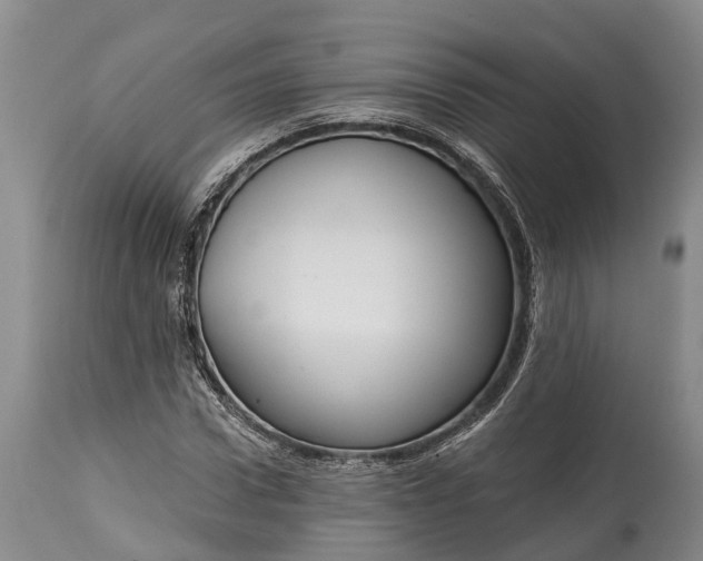 X0000115010922200911091417