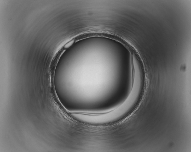 X0000115010925200911091417