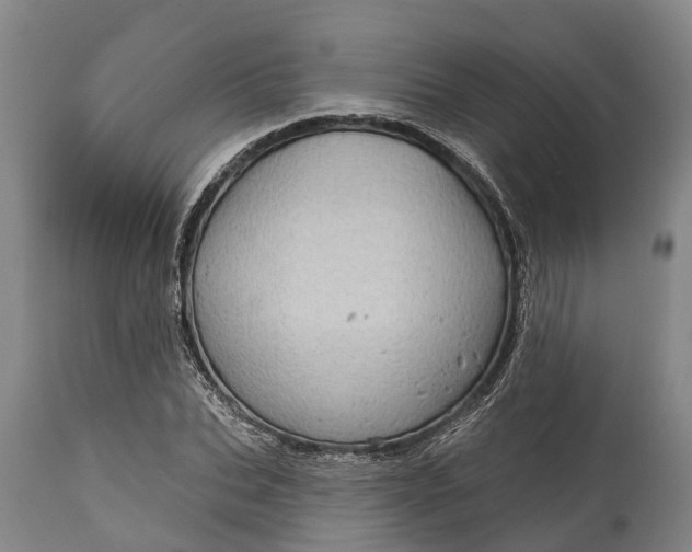 X0000115010927200911091417