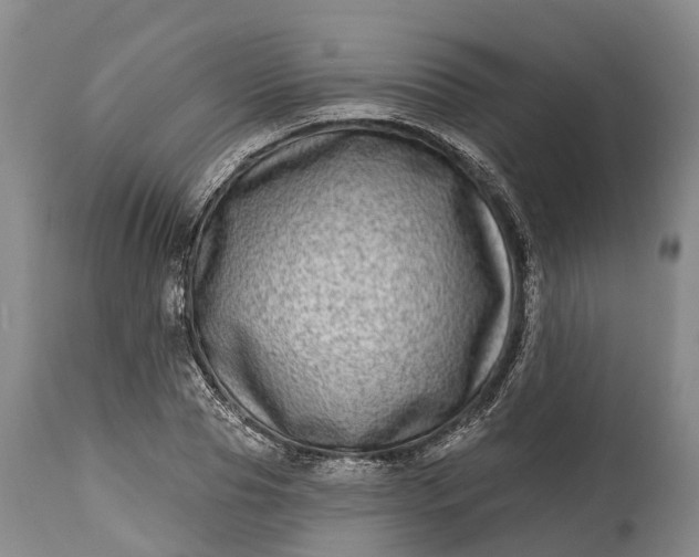 X0000115010929200911091417