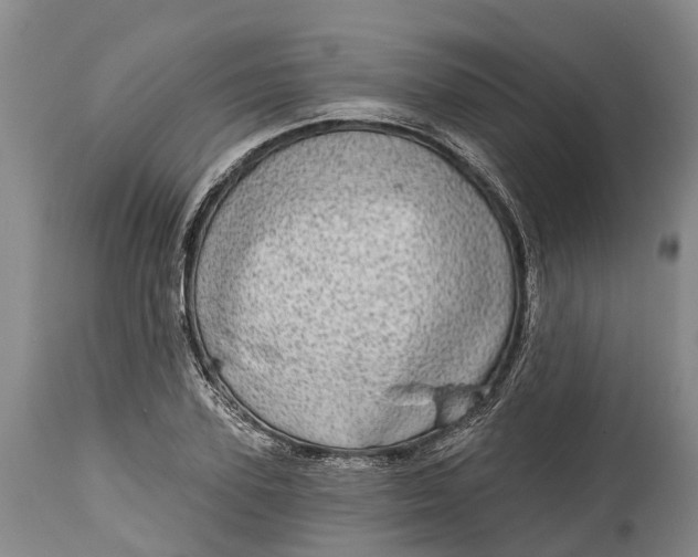 X0000115010931200911091417