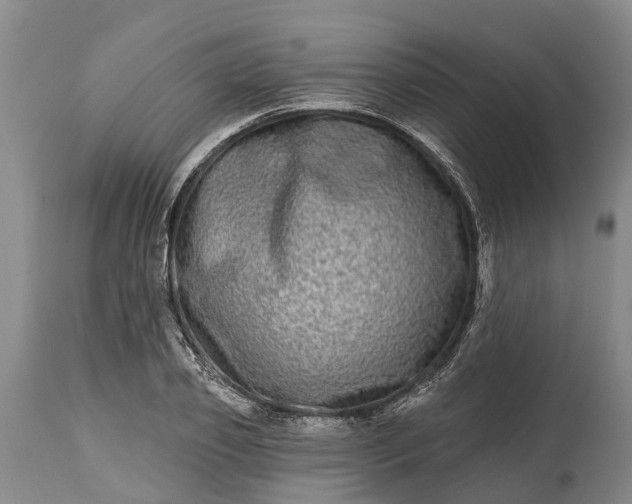 X0000115010933200911091417