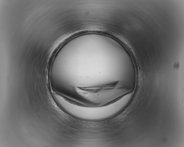 X0000115010935200911091417