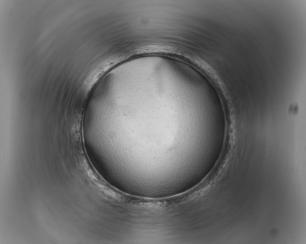 X0000115010937200911091417