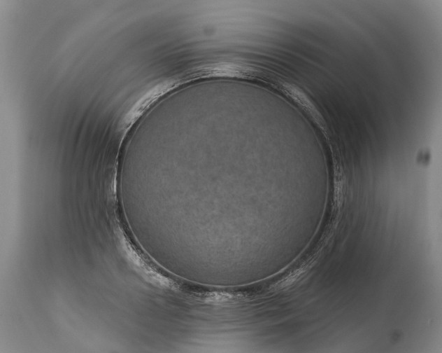 X0000115010938200911091417