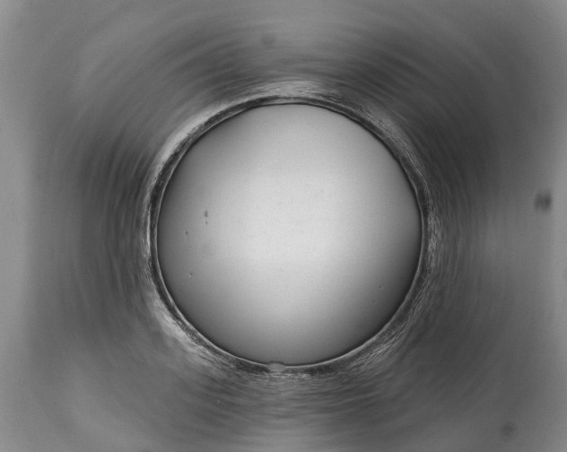 X0000115010939200911091417