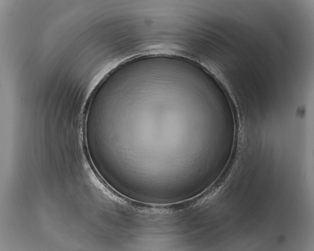 X0000115010941200911091417