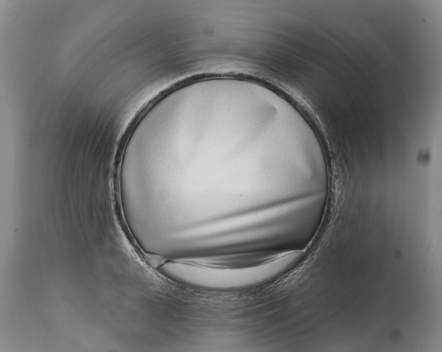 X0000115010943200911091417