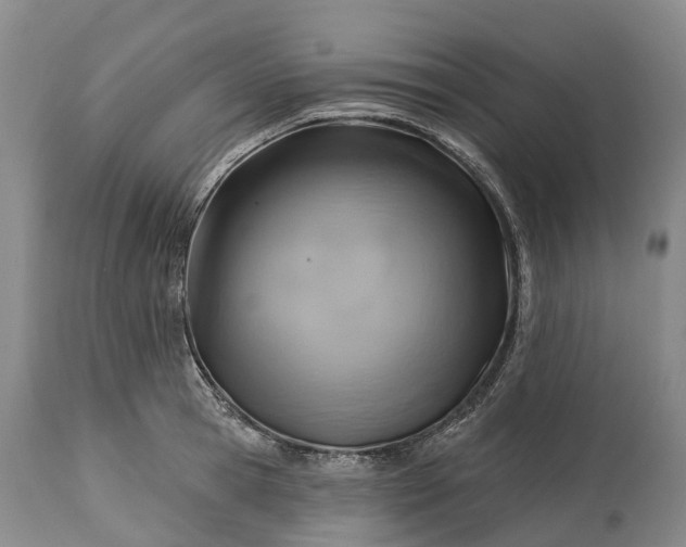 X0000115010945200911091418
