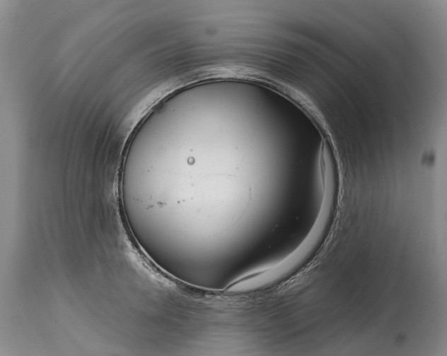 X0000115010946200911091418