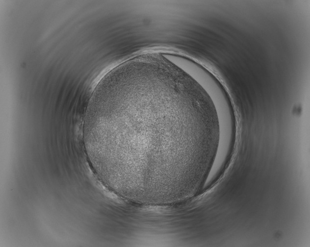 X0000115010953200911091418