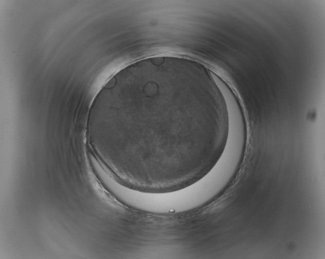 X0000115010954200911091418