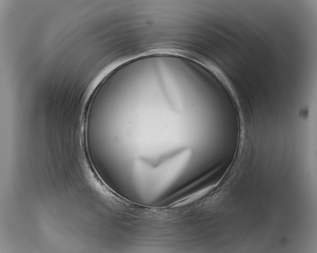 X0000115010955200911091418