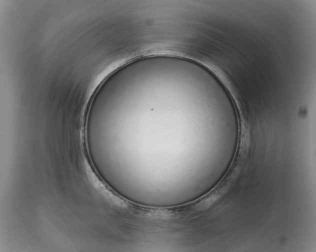 X0000115010957200911091418
