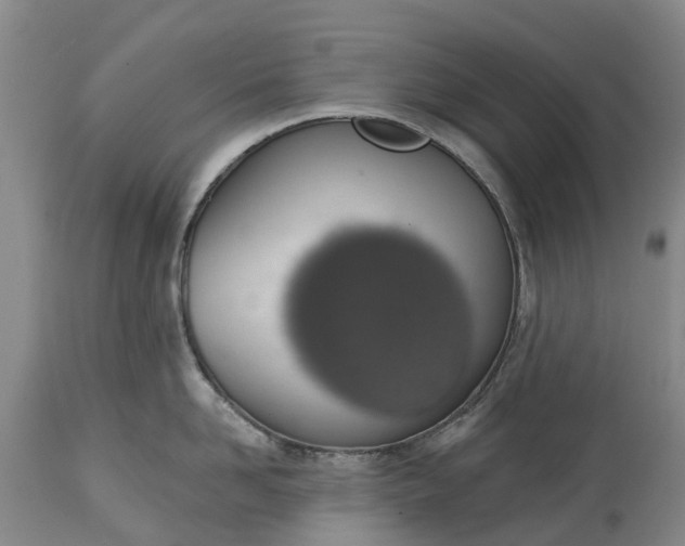 X0000115010958200911091418