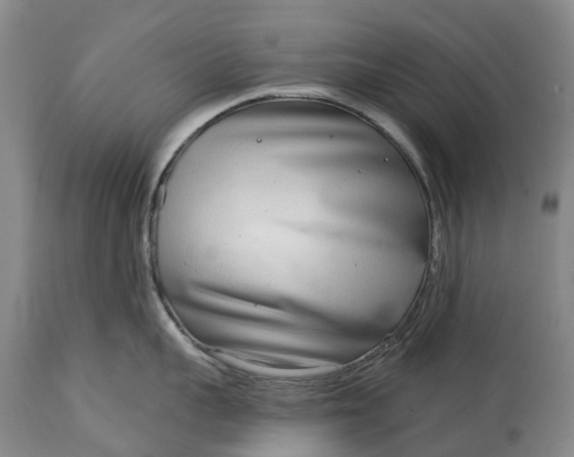 X0000115010959200911091418