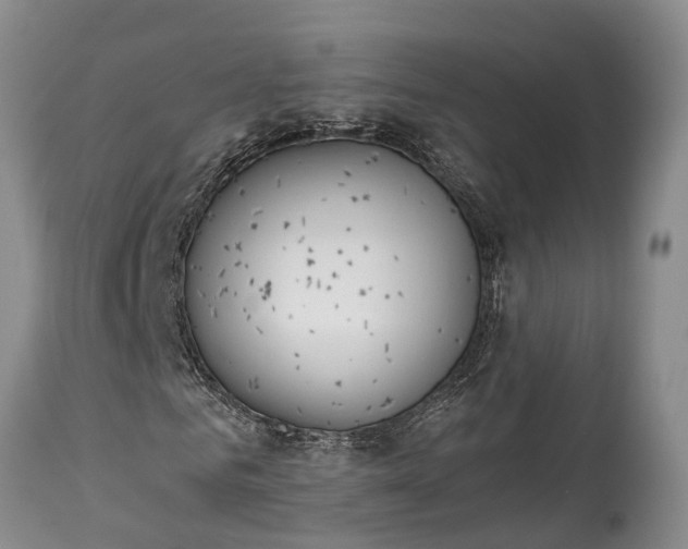 X0000115010961200911091417