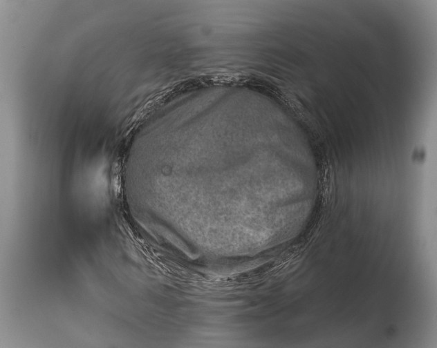 X0000115010962200911091417