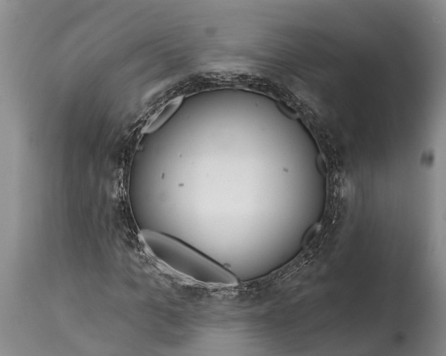 X0000115010965200911091417