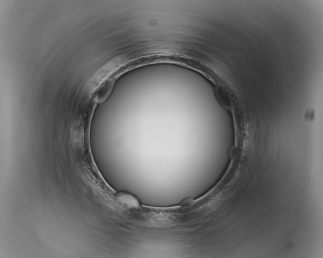 X0000115010969200911091417