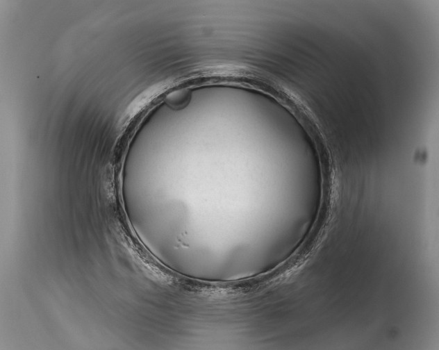 X0000115010970200911091417