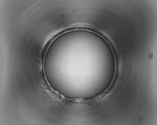 X0000115010973200911091417