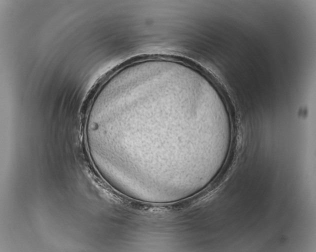 X0000115010974200911091417